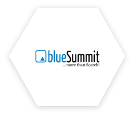 Logo Blue Summit