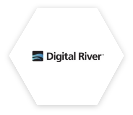 Logo Digital River