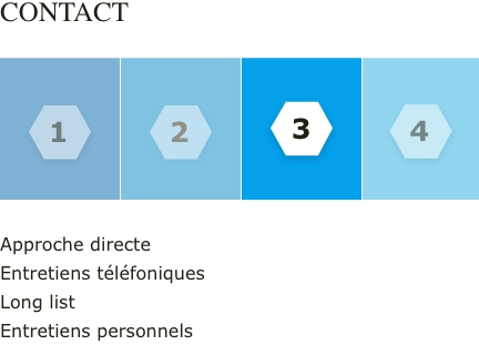 Graphique Vesterling Executive Search partie 3