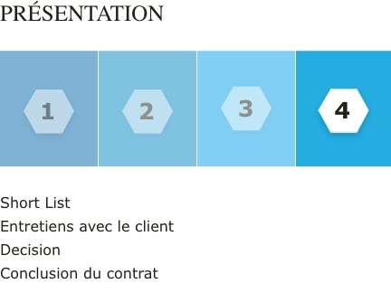 Graphique Vesterling Executive Search partie 4